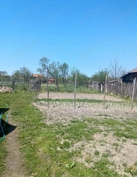 Casa in jud Arad - 1