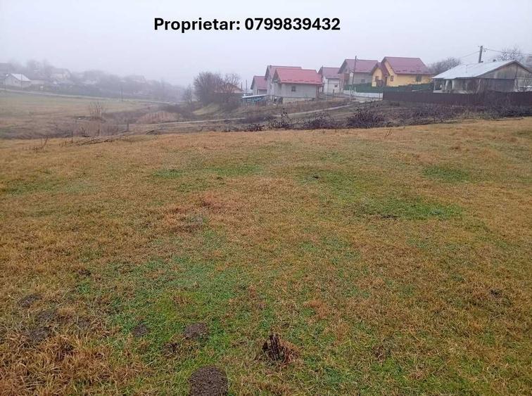 Direct de la proprietar - teren intravilan 820mp Proselnici - 3
