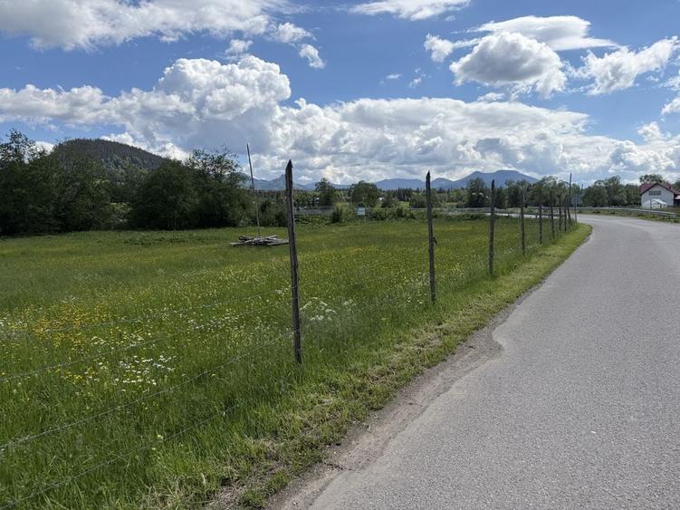 Vand Teren Intravilan Poiana Negrii jud Suceava (Bucovina) - 3