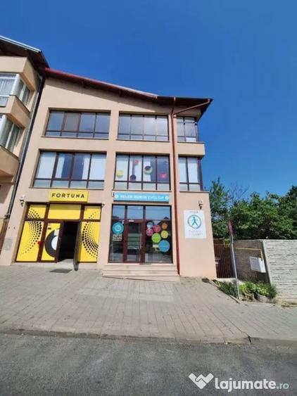 Spatiu Comercial Multifunctional Banat-CLASA A - 7