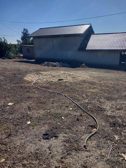 Casă cu 5 camere cu Teren 3100 Mp în Botoroaga