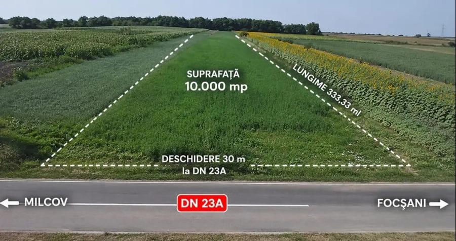 Teren de 10000 mp, în Lămotești