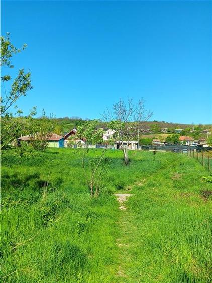 Teren Construcții intravilan de 1787 mp, în Miroslava
