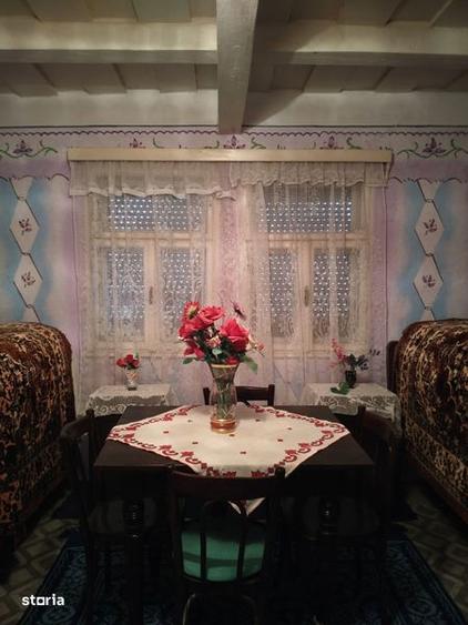 Casa cu pamant de vanzare in Satul Berechiu - 3