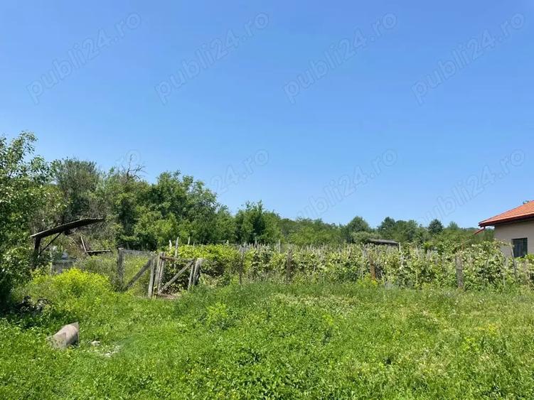 Casă cu 3 camere cu Teren 3800 Mp în Bălănești