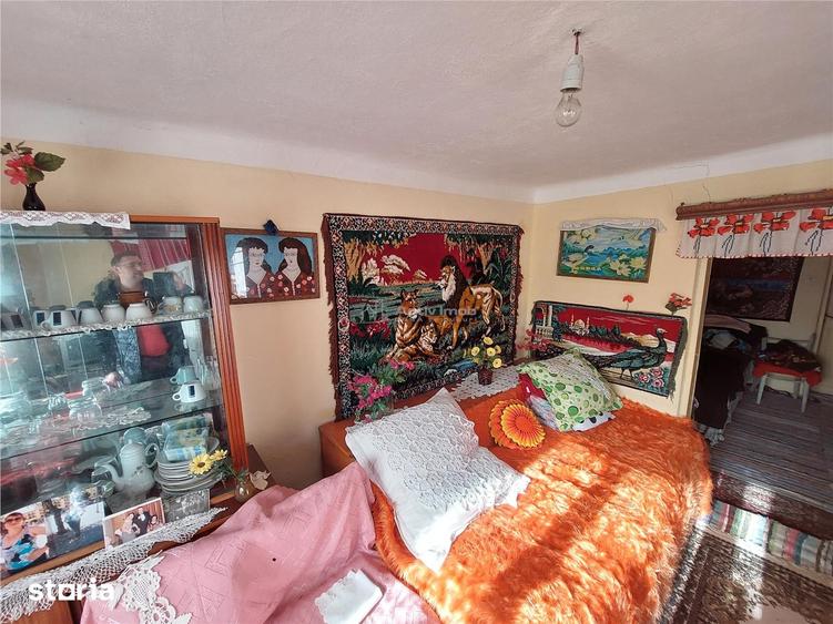 Casă cu 5 camere cu Teren 1200 Mp în Central