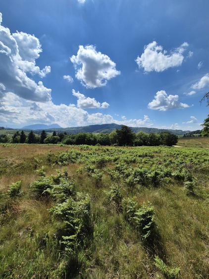 Teren Superb de Vanzare in Holbav, Jud. Brasov - 3546 mp, PUZ in Lucru - 4