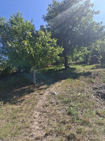 Teren de 770 mp, în Central