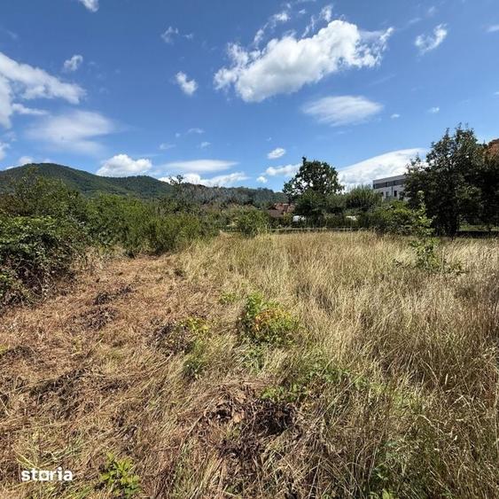 Teren de 1072 mp, în Valea Borcutului
