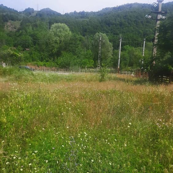 Teren de 1081 mp, în Malaia