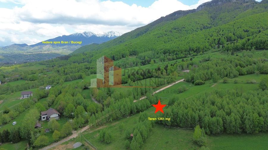 Teren Construcții intravilan de 5261 mp, în Tohănița