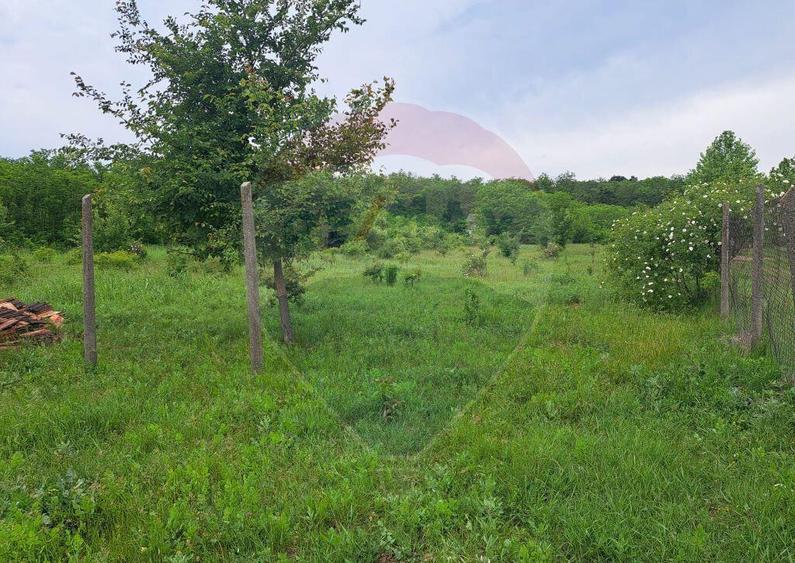 Teren Silistea Snagovului 500 mp apropiere padure - 4