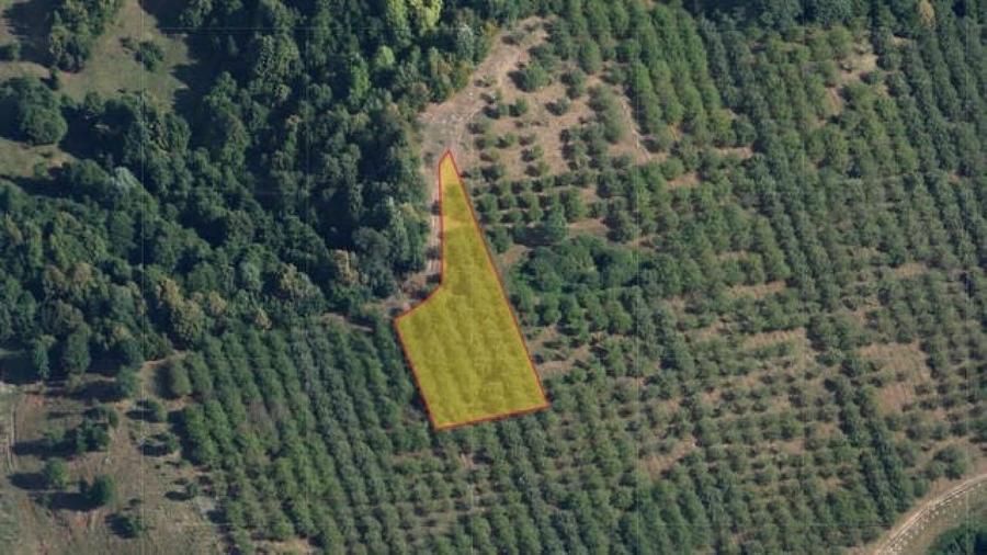 Teren Construcții intravilan de 2900 mp, în Câmpinița