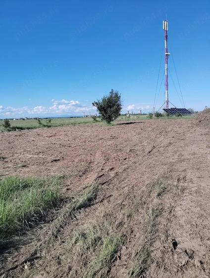 Teren de 303 mp, în Bradu