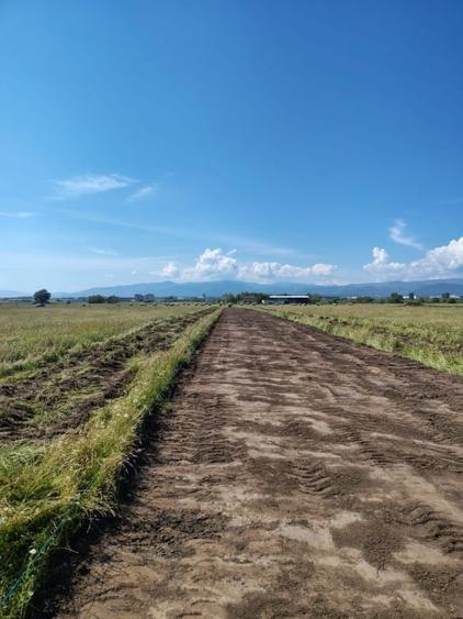 Teren agricol extravilan de 515 mp, în Turnișor