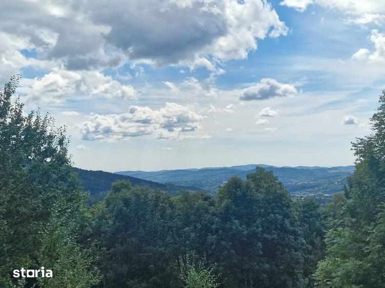 Teren de 2600 mp, în Sud