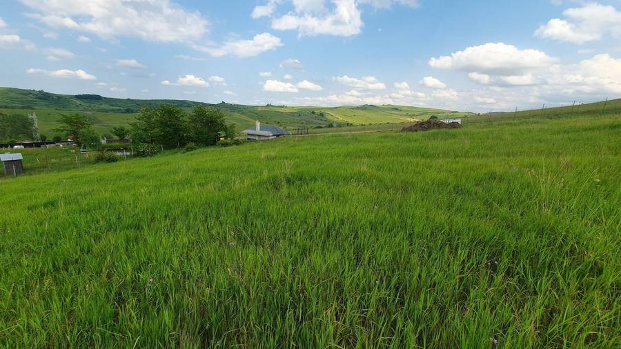 Vand teren extravilan cu CF, in Salistea Veche - 6