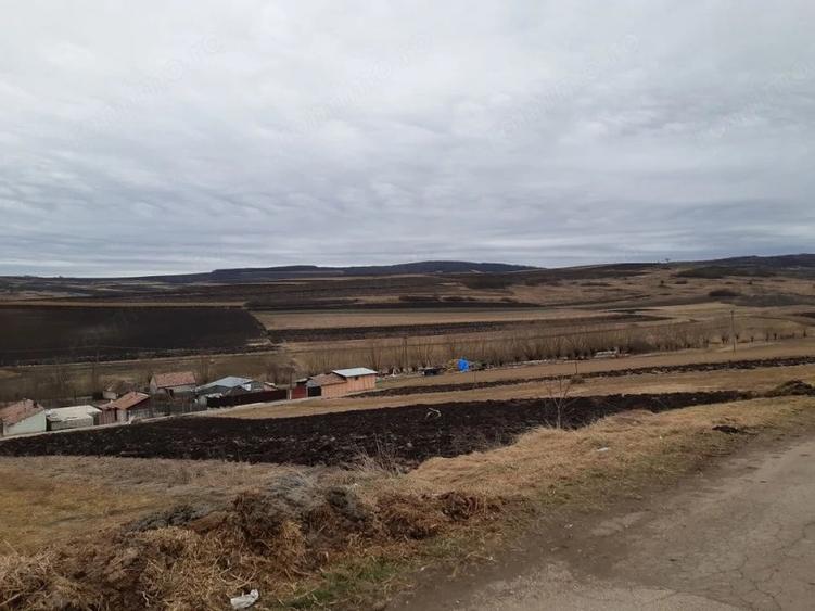 Teren de 61000 mp, în Daia Română