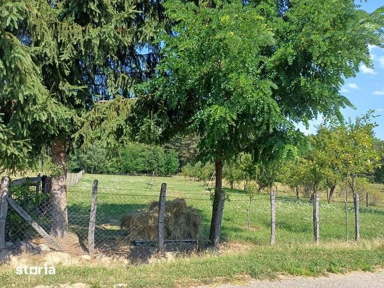 Teren intravilan de vanzare in Clung Ag - 1