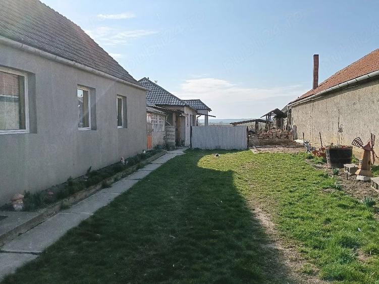 Casă cu Teren 2800 Mp în Tarcea
