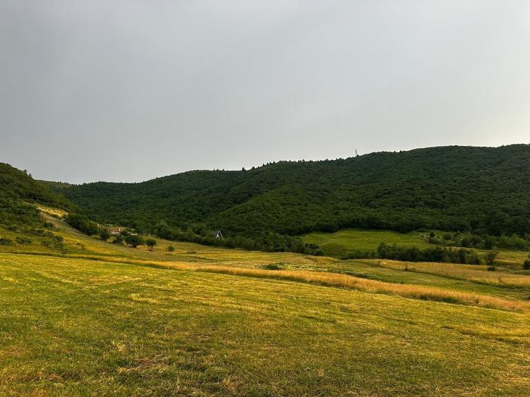 Teren agricol extravilan de 3408 mp, în Gura Râului