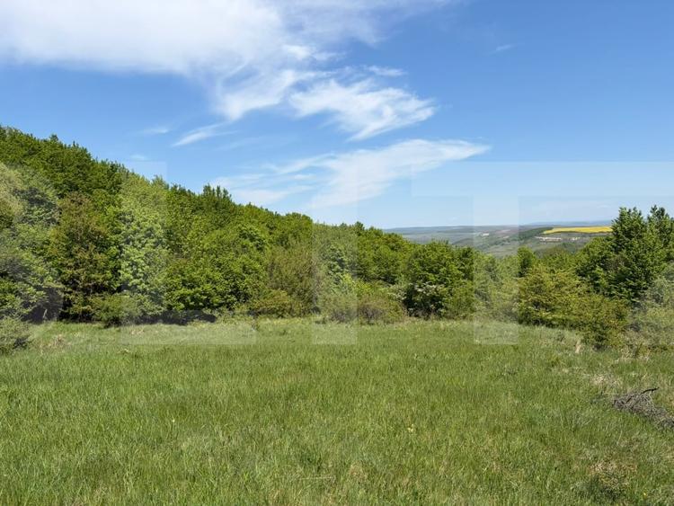 Exclusivist! Teren extravilan de 1884mp cu view panoramic Chinteni - 1