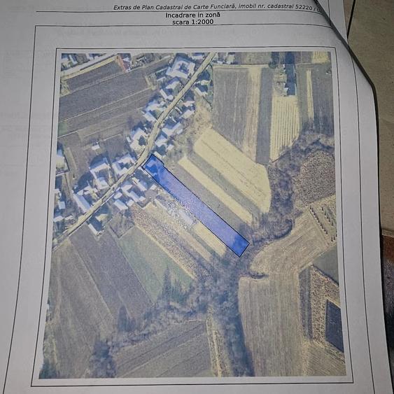 Casă cu Teren 3400 Mp în Arbore