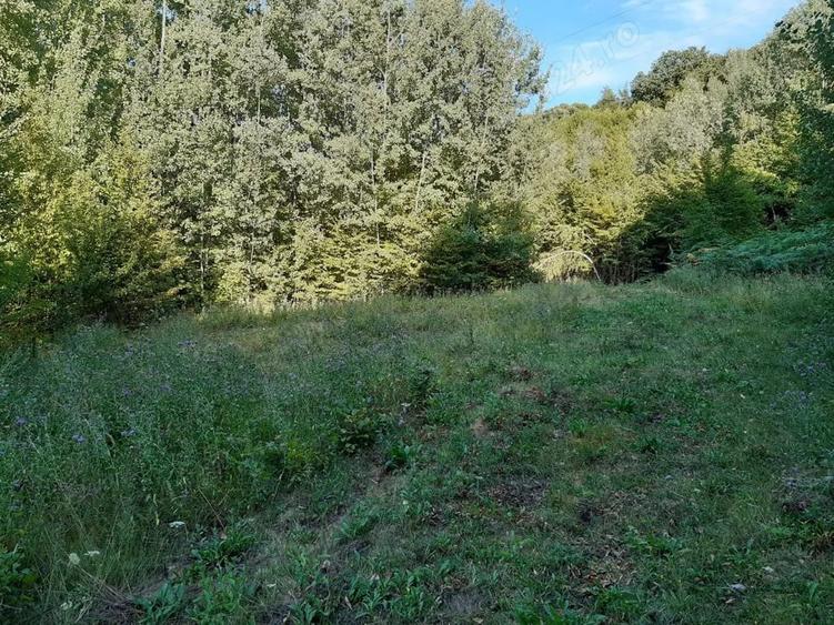 Teren în Marginea