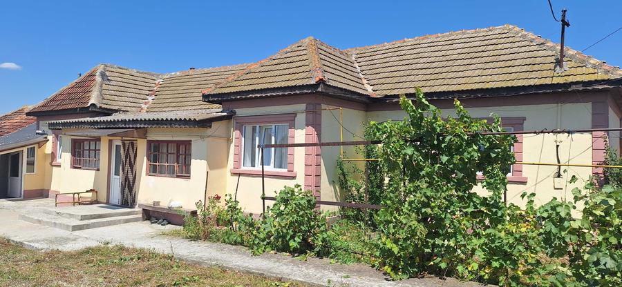 Casă cu 4 camere cu Teren 1900 Mp în Mihail Kogălniceanu
