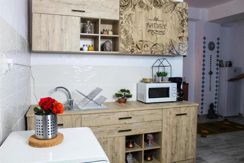 Casă individuală cu 9 camere cu Teren 186 Mp în Doamna Ghica