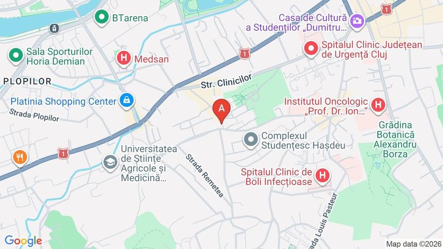 Spațiu comercial zona Hașdeu - 1