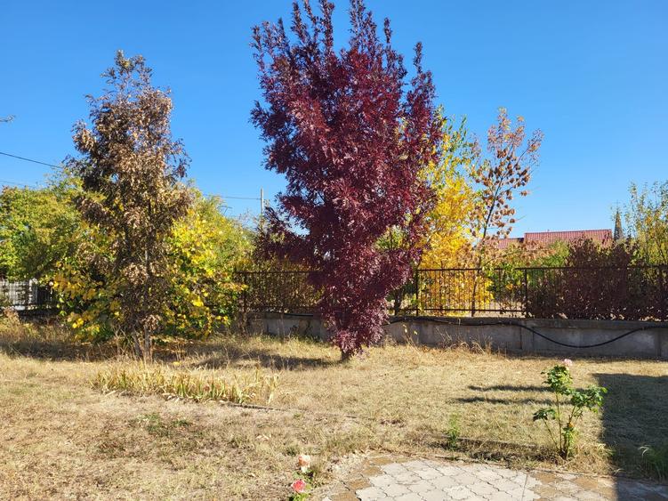 Casă individuală cu 4 camere cu Teren 3500 Mp în Snagov