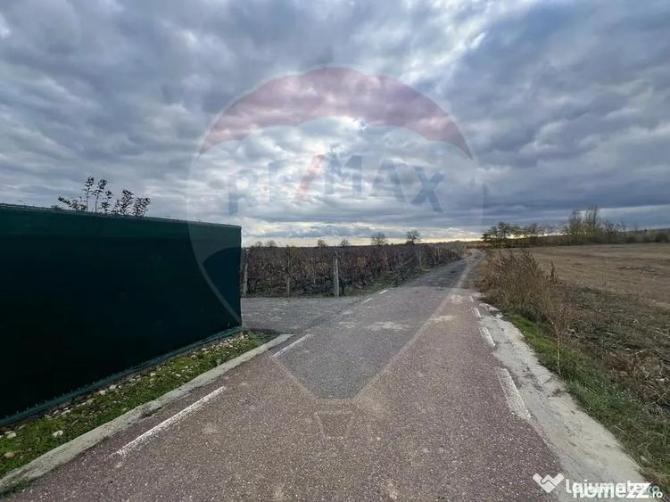 Teren de 2727 mp, în Cârligele