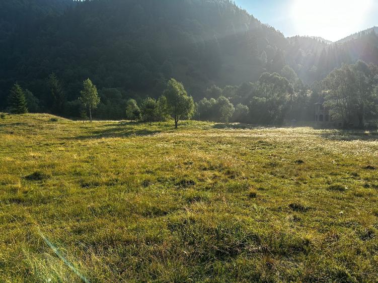 Teren Construcții intravilan de 1000 mp, în Rucăr