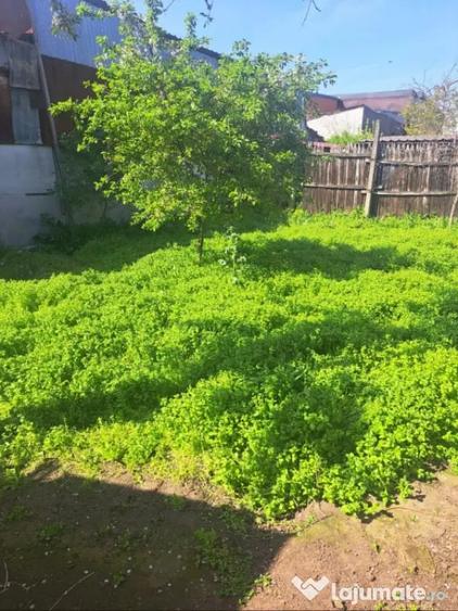 Casă cu 3 camere cu Teren 339 Mp în Central