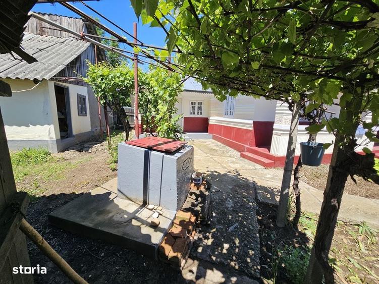 Casă cu 3 camere cu Teren 1330 Mp în Păunești