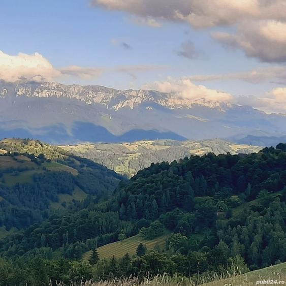 Teren de 7200 mp, în Peștera
