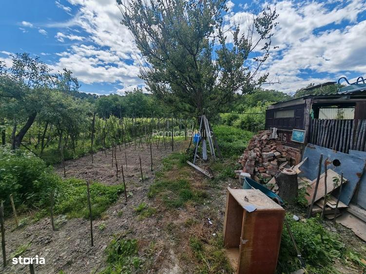 Oportunitate Rara: 3 Case in Aceeasi Curte| 66.000 euro
