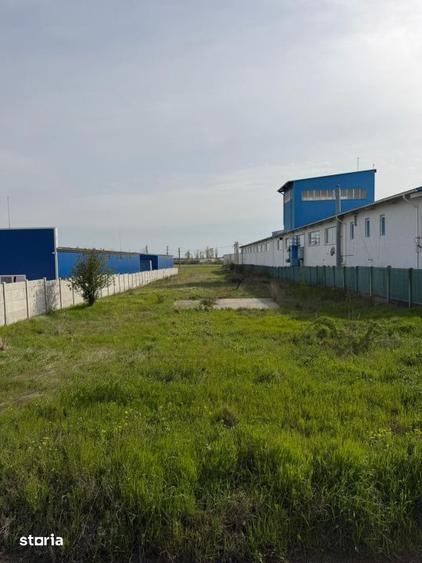 Teren de 5000 mp, în Malu Mare
