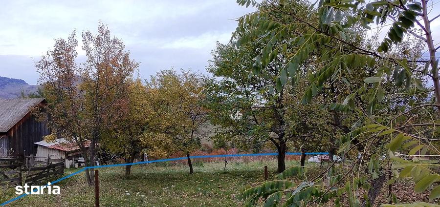 Teren de 3456 mp, în Moieciu