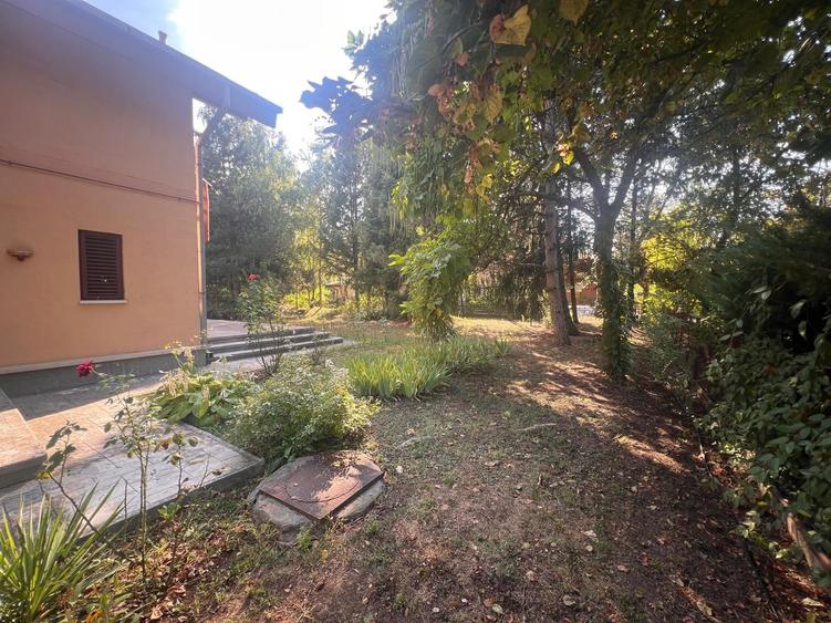 Casă individuală cu 5 camere cu Piscina în Corbeanca