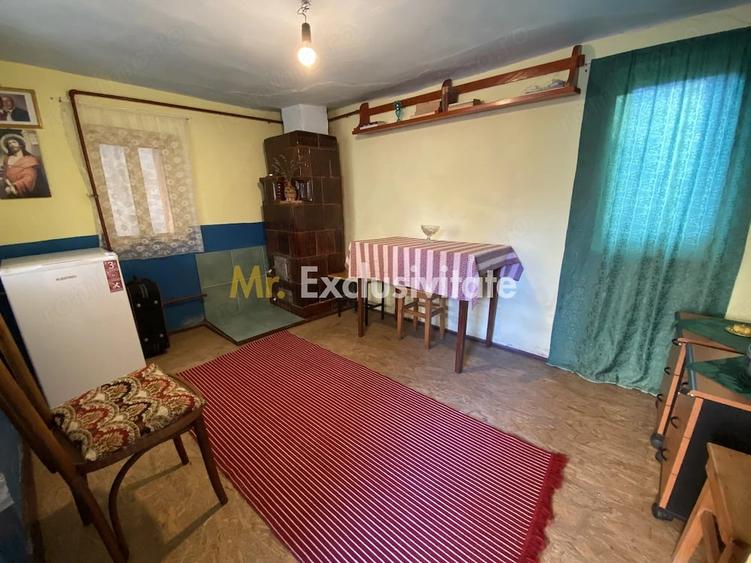 CASA + TEREN 1.002 MP | Stefanesti Valea Mare Enculescu-Arges - 1