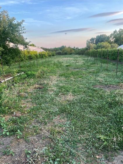 Casă cu 4 camere cu Teren 2500 Mp în Berceni