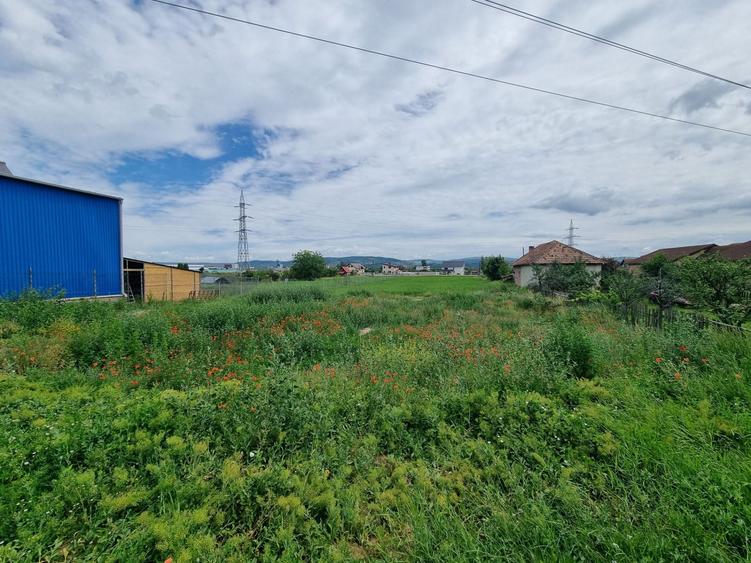 Teren Construcții de 3500 mp, în Bărăbanț