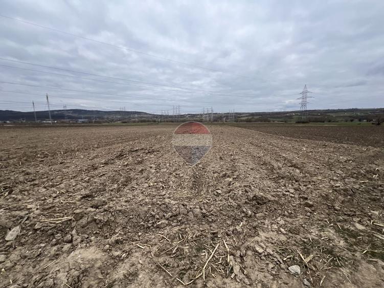 Teren agricol extravilan de 2800 mp, în Șelimbăr