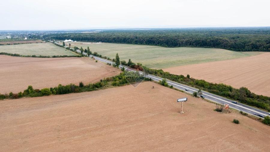 Teren Construcții intravilan de 10000 mp, în Ciolpani