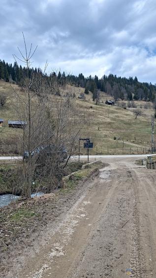 Teren intravilan de 716 mp, în Poiana Teiului