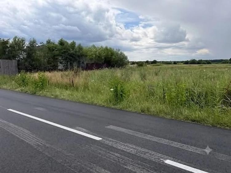 Teren de 980 mp, în Ciolpani