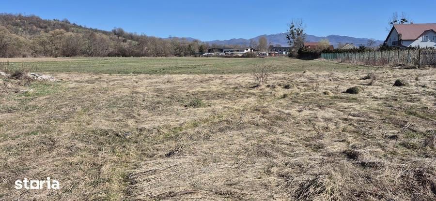 Teren de 2260 mp, în Dumbrăvița