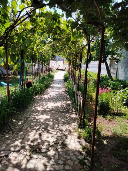 Casă cu 5 camere cu Teren 550 Mp în Colentina